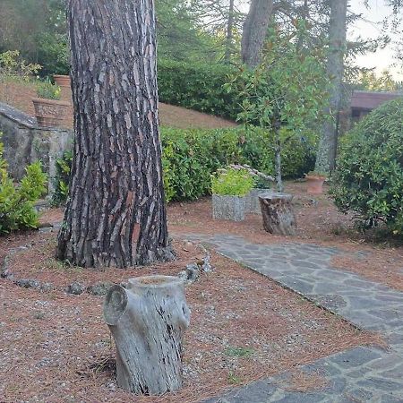 Villa Santa Margherita - La Suvera Ponte A Bozzone Dış mekan fotoğraf