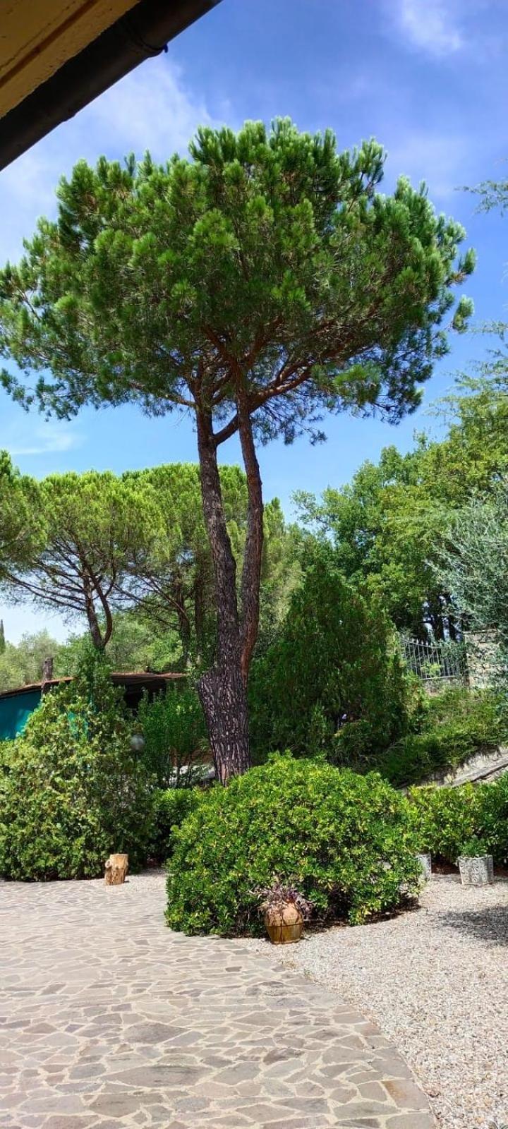Villa Santa Margherita - La Suvera Ponte A Bozzone Dış mekan fotoğraf