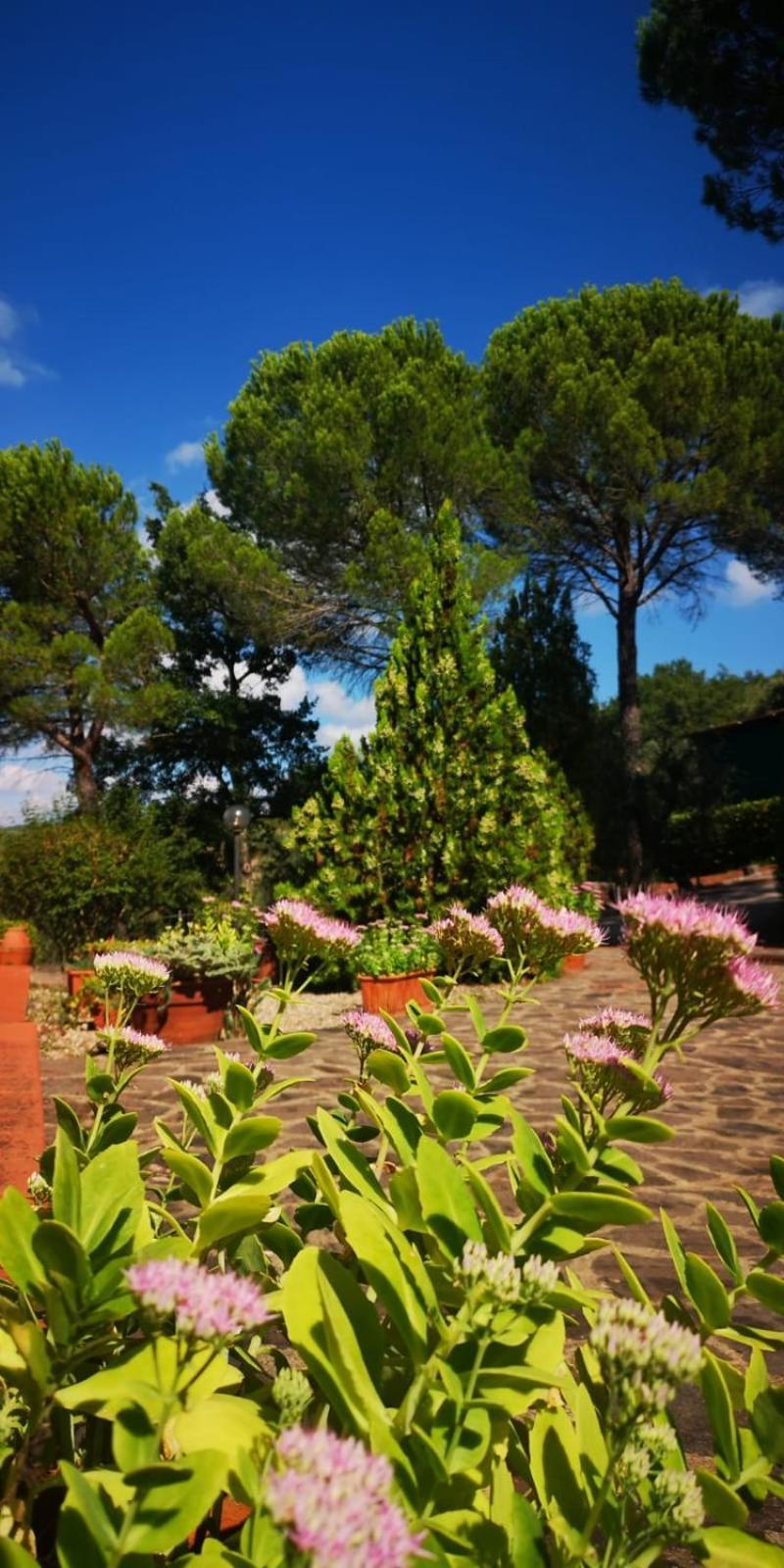 Villa Santa Margherita - La Suvera Ponte A Bozzone Dış mekan fotoğraf