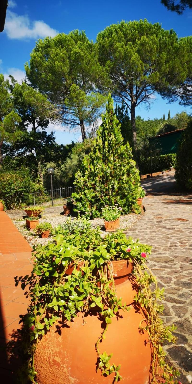 Villa Santa Margherita - La Suvera Ponte A Bozzone Dış mekan fotoğraf