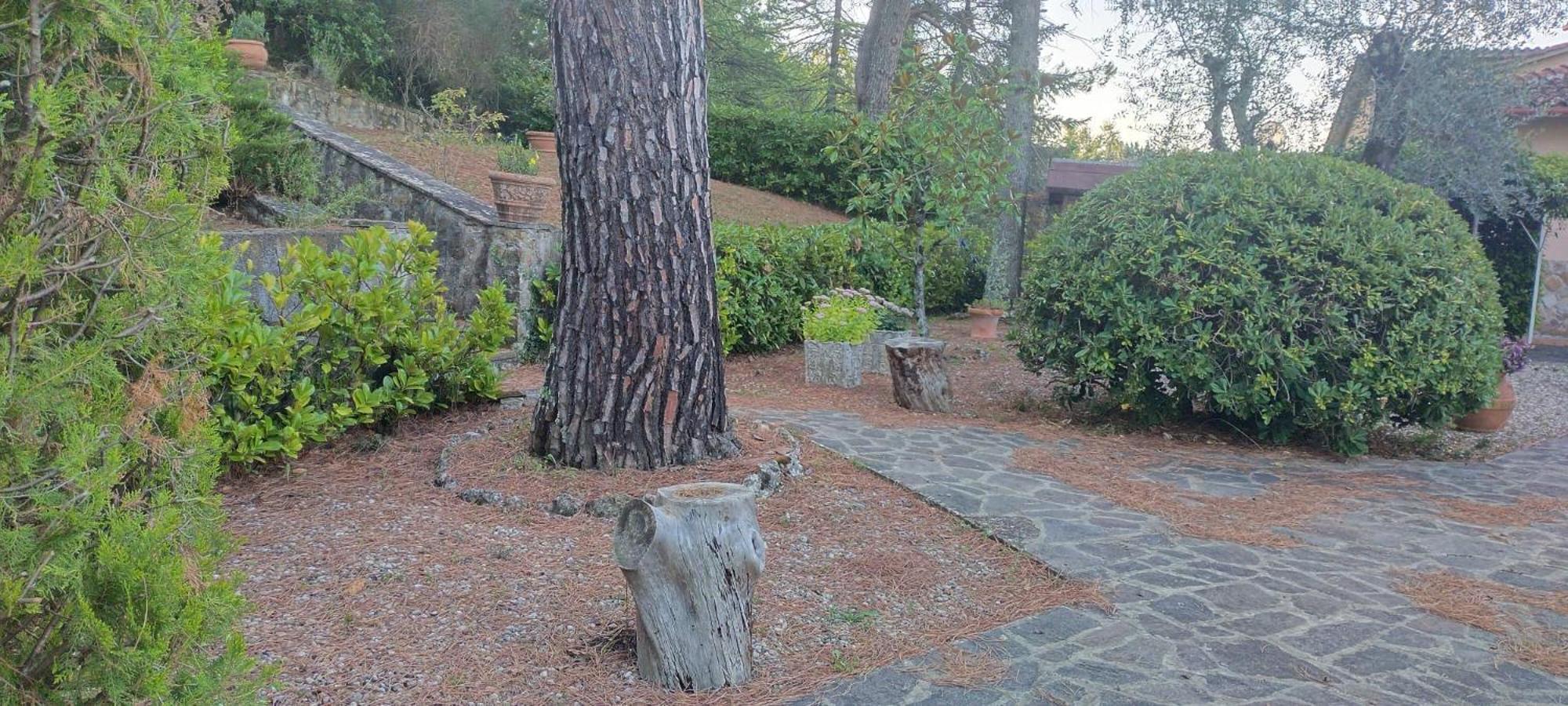 Villa Santa Margherita - La Suvera Ponte A Bozzone Dış mekan fotoğraf