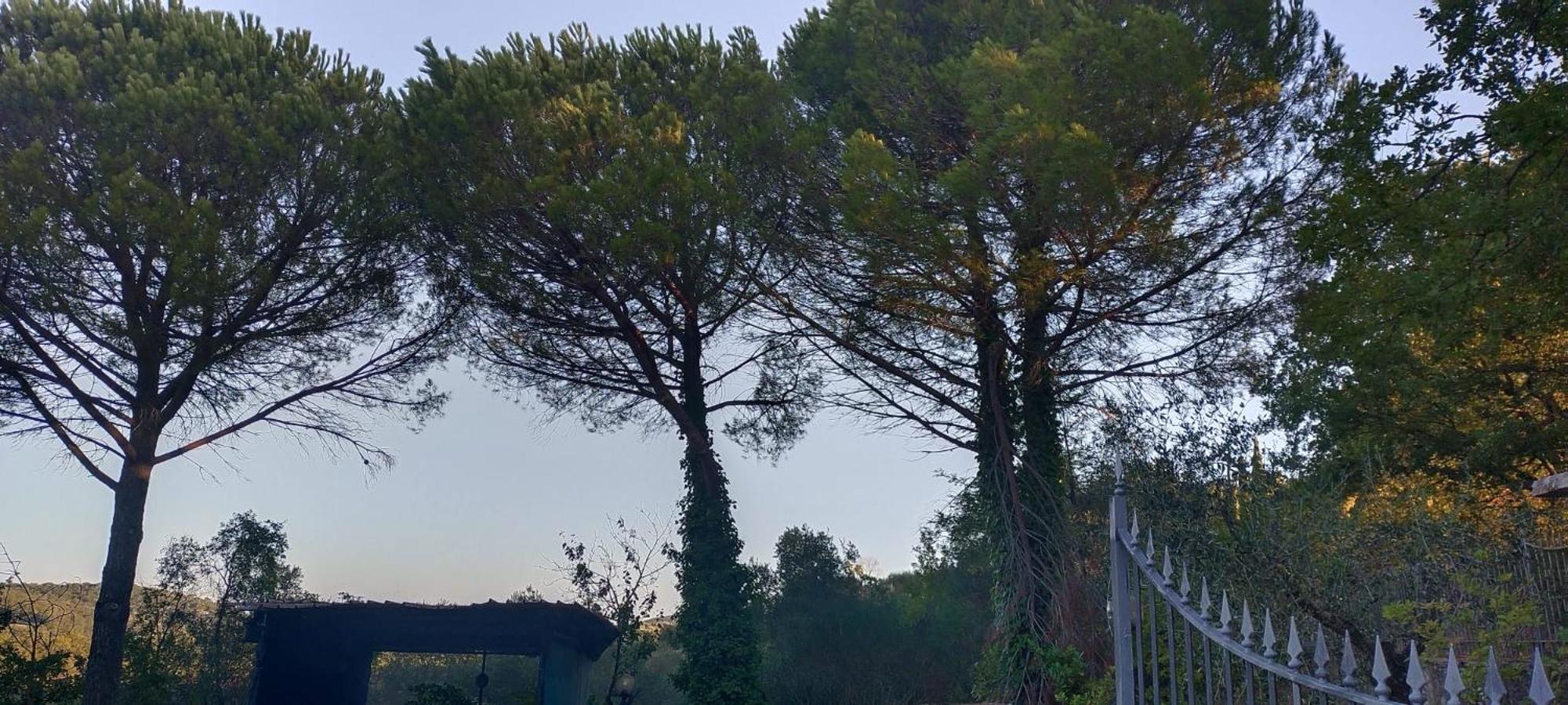 Villa Santa Margherita - La Suvera Ponte A Bozzone Dış mekan fotoğraf